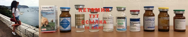 индика Беломорск